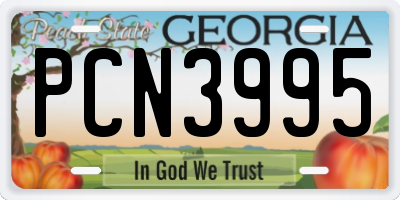 GA license plate PCN3995
