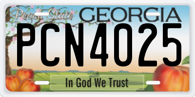 GA license plate PCN4025
