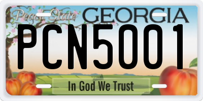 GA license plate PCN5001