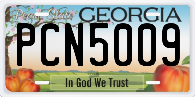 GA license plate PCN5009