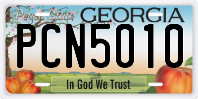 GA license plate PCN5010