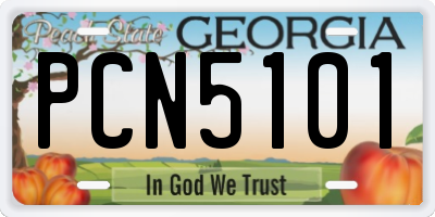 GA license plate PCN5101
