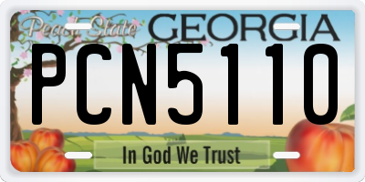 GA license plate PCN5110