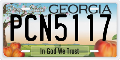 GA license plate PCN5117