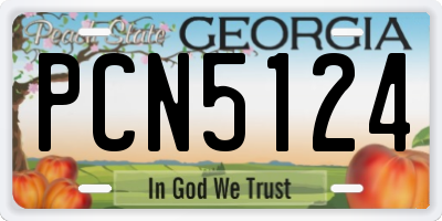 GA license plate PCN5124
