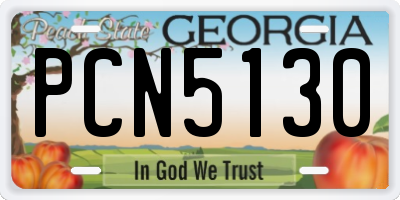 GA license plate PCN5130
