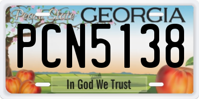 GA license plate PCN5138