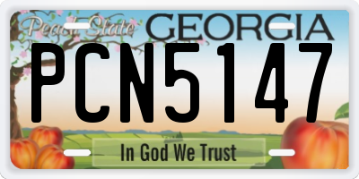 GA license plate PCN5147