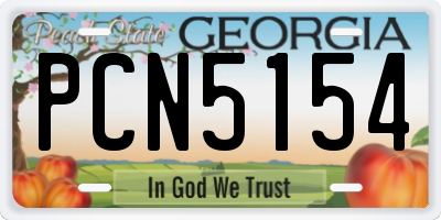 GA license plate PCN5154