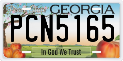 GA license plate PCN5165