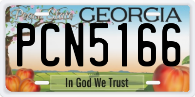 GA license plate PCN5166