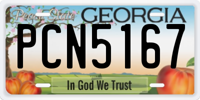 GA license plate PCN5167
