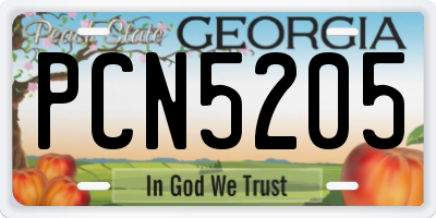 GA license plate PCN5205