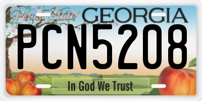 GA license plate PCN5208