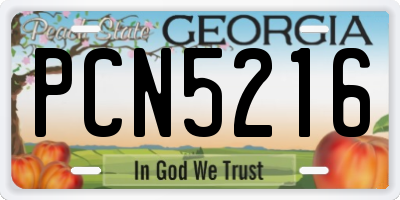 GA license plate PCN5216
