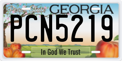 GA license plate PCN5219