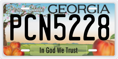 GA license plate PCN5228