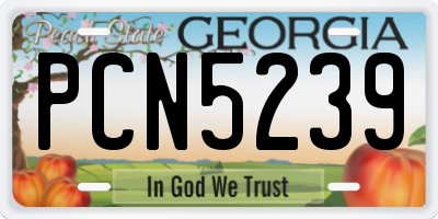 GA license plate PCN5239