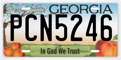 GA license plate PCN5246