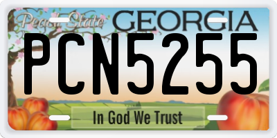 GA license plate PCN5255