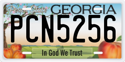 GA license plate PCN5256