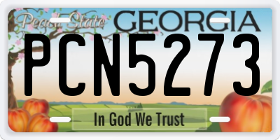GA license plate PCN5273