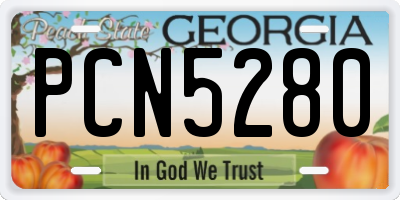 GA license plate PCN5280