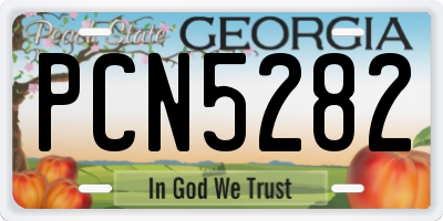 GA license plate PCN5282