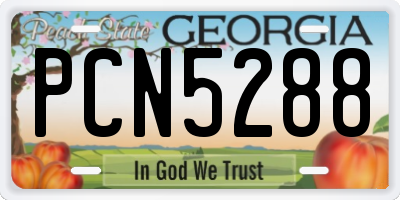 GA license plate PCN5288