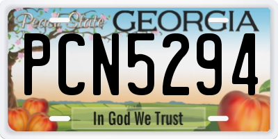 GA license plate PCN5294