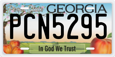 GA license plate PCN5295