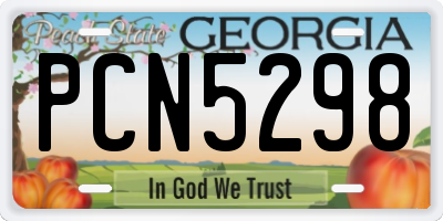 GA license plate PCN5298