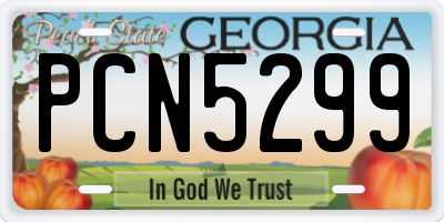 GA license plate PCN5299