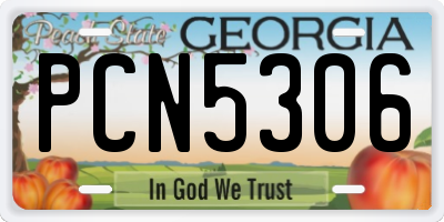 GA license plate PCN5306