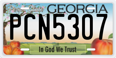GA license plate PCN5307