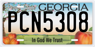 GA license plate PCN5308