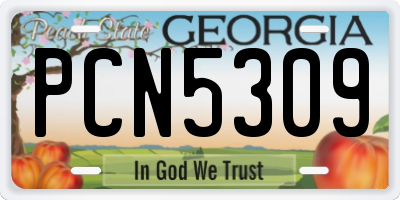 GA license plate PCN5309