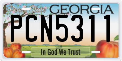 GA license plate PCN5311