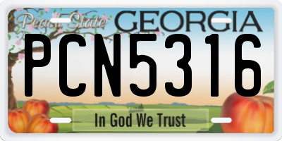 GA license plate PCN5316