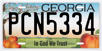 GA license plate PCN5334