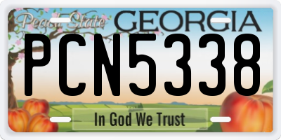 GA license plate PCN5338
