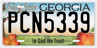 GA license plate PCN5339