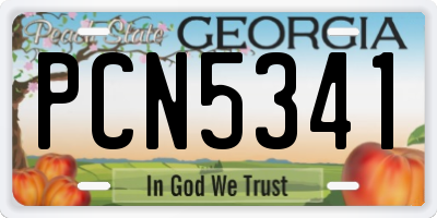 GA license plate PCN5341