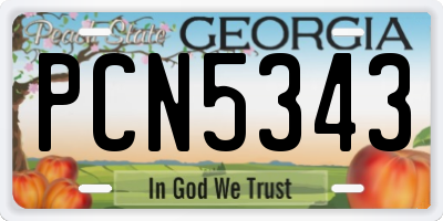 GA license plate PCN5343