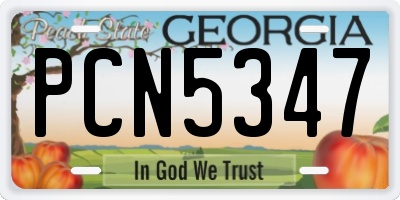GA license plate PCN5347