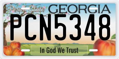 GA license plate PCN5348