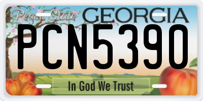GA license plate PCN5390