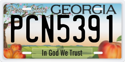 GA license plate PCN5391