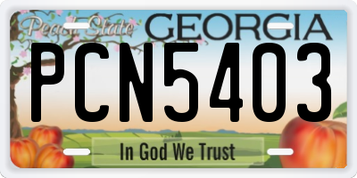 GA license plate PCN5403