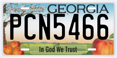 GA license plate PCN5466